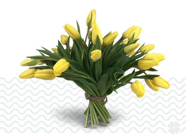 Vrolijke gele tulpen bestellen Tulpen.NU, van de kweker voor u!